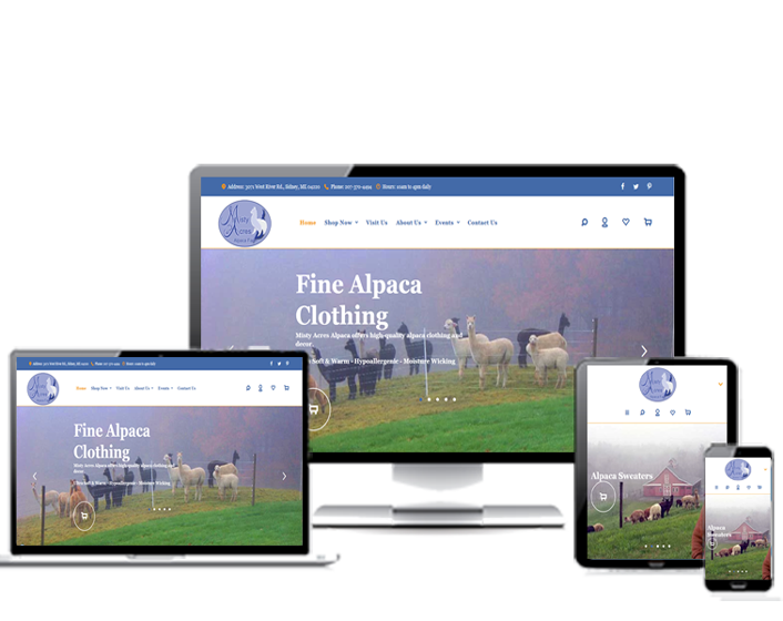 Web Design